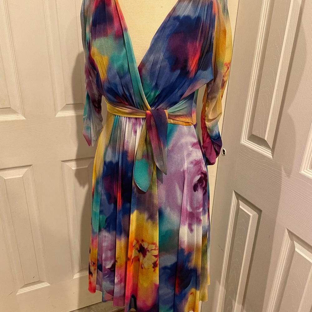 Elana Kattan stretch mesh vibrate color v neck 3/4 sleeve dress